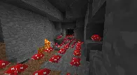 Never leave mushrooms unsupervised in beta....