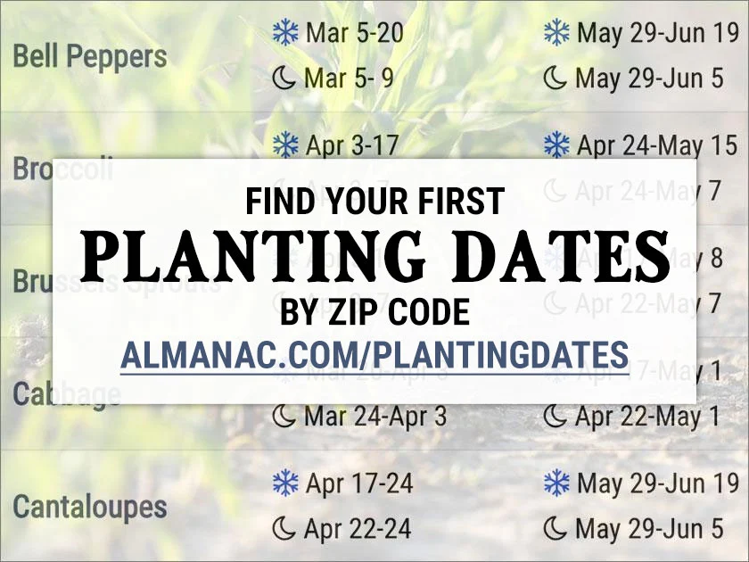 2023 Planting Calendar: When to Start Vegetable Seeds | The Old Farmer's Almanac