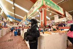 From chickens to cabs: Drug cartels expand across the Mexican economy