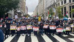 Protesters in US capital warn of Israeli 'genocide' in besieged Gaza