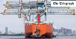 Fears raised over ‘Chinese spy cranes’ in US ports