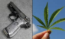 DOJ Doubles Down On Claim That Medical Marijuana Patients 'Endanger Public Safety' If They Own Guns - Marijuana Moment