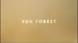 Nick Cave and The Bad Seeds - Sun Forest (Official Lyric Video)
