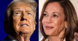 ‘I Approve This Message’: Kamala Harris Instantly Uses Trump’s Own Words Against Him