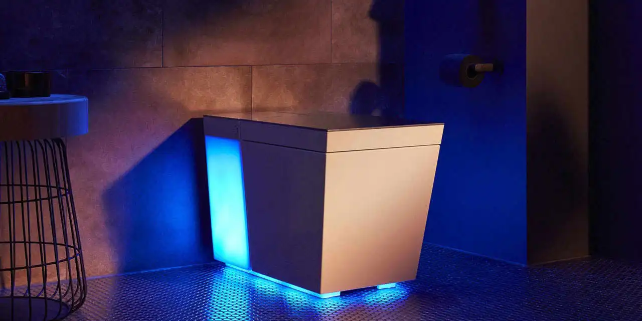 High-Tech Toilets Offer a Futuristic Flush. One Costs $20,000.