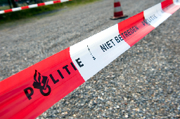 Two men killed in crash, may have been fleeing a crime scene - DutchNews.nl