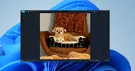 Viewer and Import Enhancements for Microsoft Photos on Windows 11