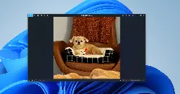 Viewer and Import Enhancements for Microsoft Photos on Windows 11