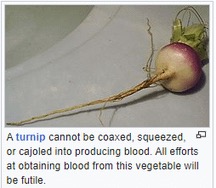 turnip