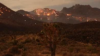 The York Fire has burned over 82,000 acres through the Mojave National Preserve, making it the largest wildfire in California so far this year