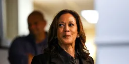 'Pieces falling into place': Analyst sees Harris breaking 'doom loop' as election nears