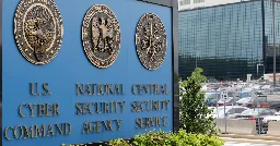 Former NSA worker pleads guilty to trying to sell US secrets to Russia