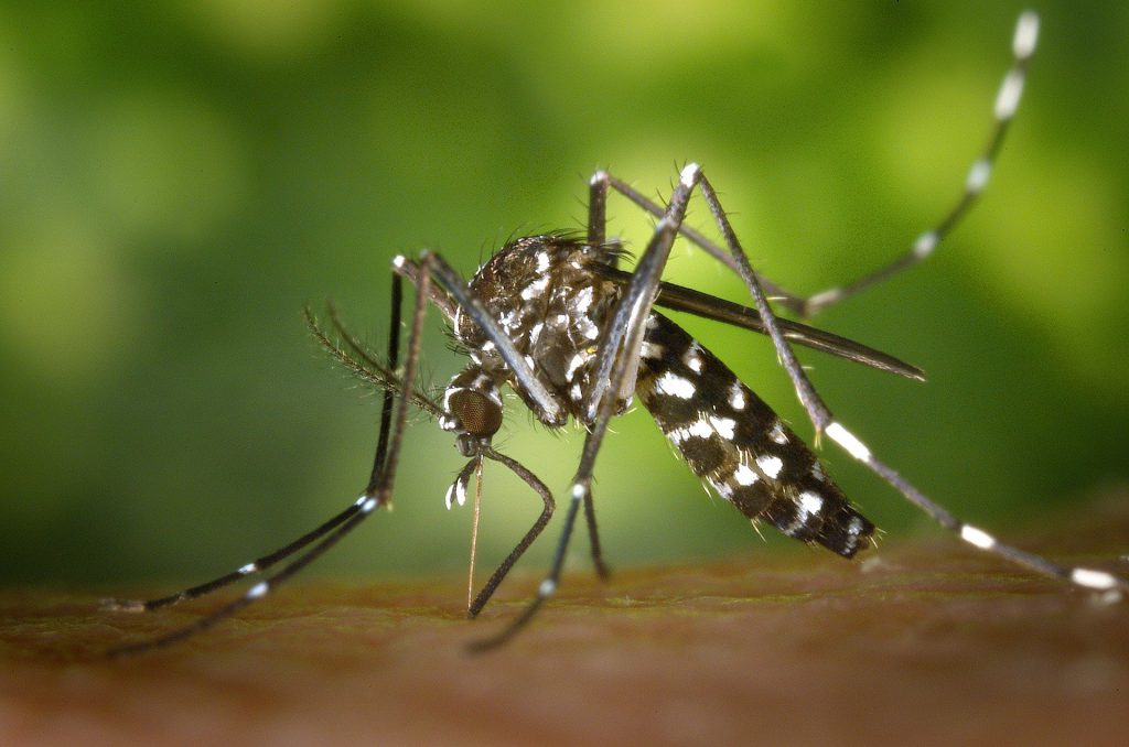 West Nile Virus Kills 2 in Wisconsin