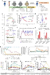 Treating a type 2 diabetic patient with impaired pancreatic islet function by personalized endoderm stem cell-derived islet tissue - Cell Discovery