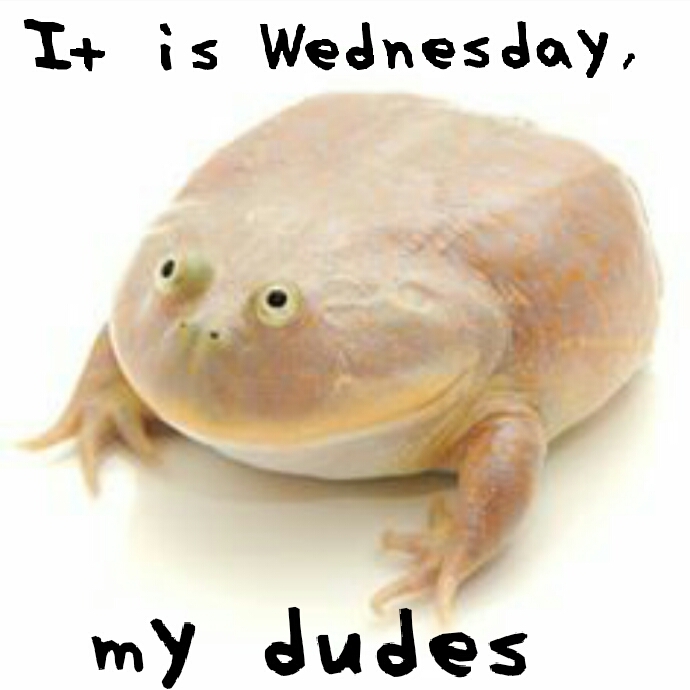 wednesday meme
