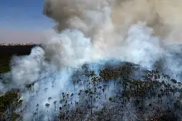 Brazil sees its worst forest fires in 14 years, exposing Lula and state governors’ lack of preparation