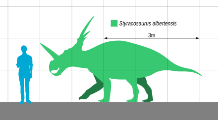 Styracosaurus size versus a human