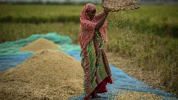 Global food prices rise after Russia ends grain deal and India restricts rice exports