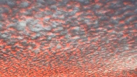 Hundreds of red clouds (sunset in Germany)