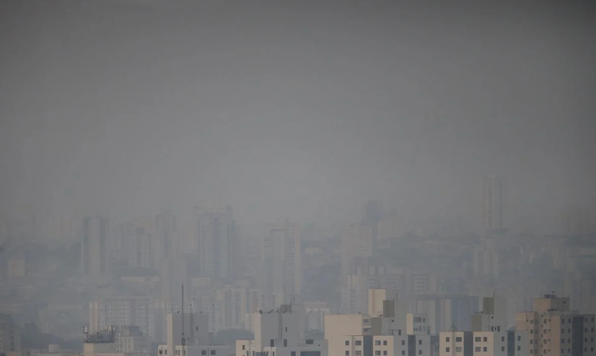 São Paulo tem 76 mortes por síndrome respiratória aguda grave após incêndios