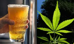 Beer Industry Trade Group Applauds California Governor's Crackdown On Hemp Products With THC - Marijuana Moment