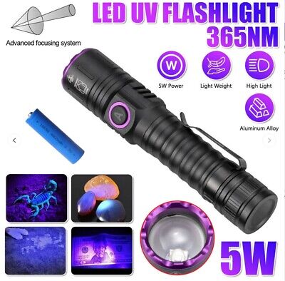 USB Rechargeable UV Light LED Flashlight 365nm Blacklight Inspect Torch Zoomable  | eBay