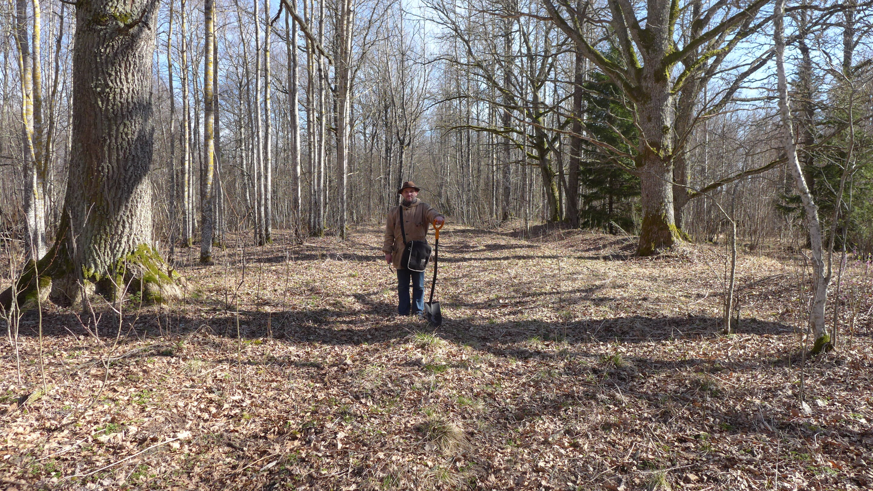 Doctoral thesis: The land use of West Estonian lowlands in Late Stone Age turned out to be seasonal