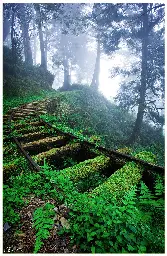 Abandon railroad in Taipingshan National Forest, Taiwan. - Lemmy.World