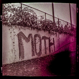 Moth [OC] [Lomo Lubitel 166] [Ilford HP5 Plus 400 ISO]