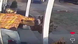 Mom fights raccon off daughter