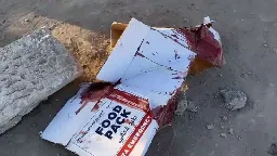 Dying for a bag of flour: Videos and eyewitness accounts cast doubt on Israel’s timeline of deadly Gaza aid delivery | CNN