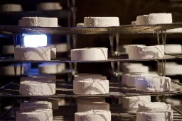 Sacre Bleu! Cheese enthusiasts are mourning the possible extinction of brie cheese