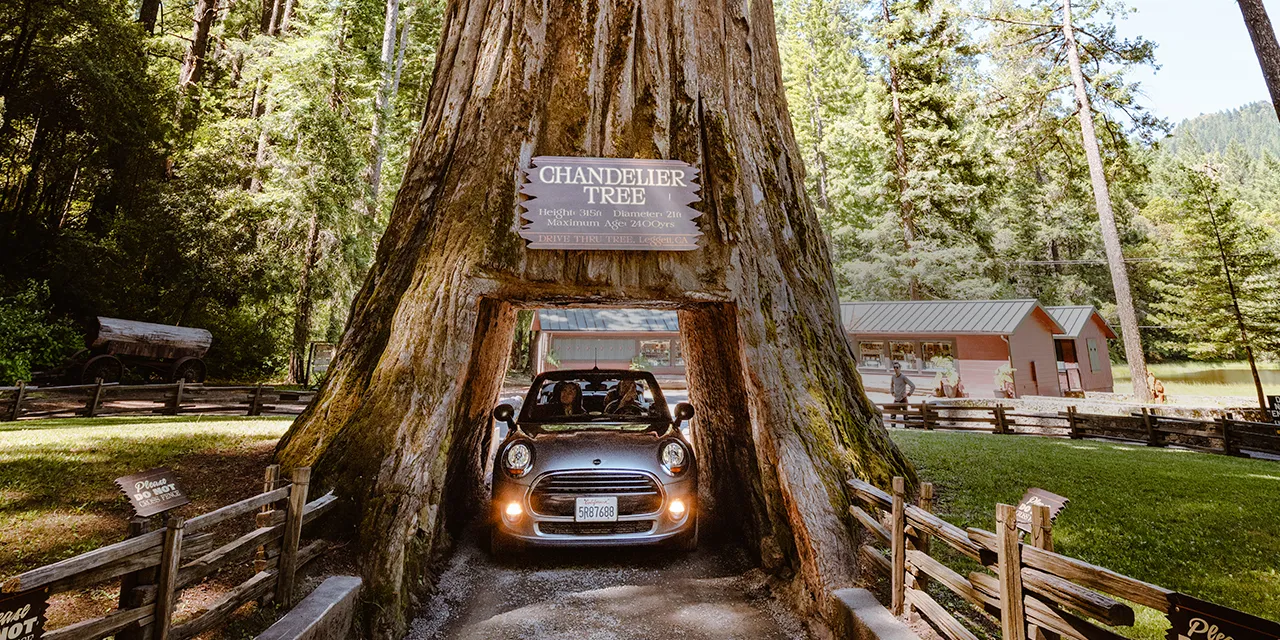 a picture of a car driving through a cutout in a redwood