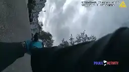 Florida Cop Empties His Gun, Runs For Cover After Acorn Falls On Car