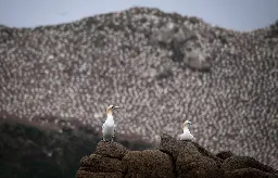 Le périmètre de la réserve des Sept-Îles passe de 280 à 19.700 hectares