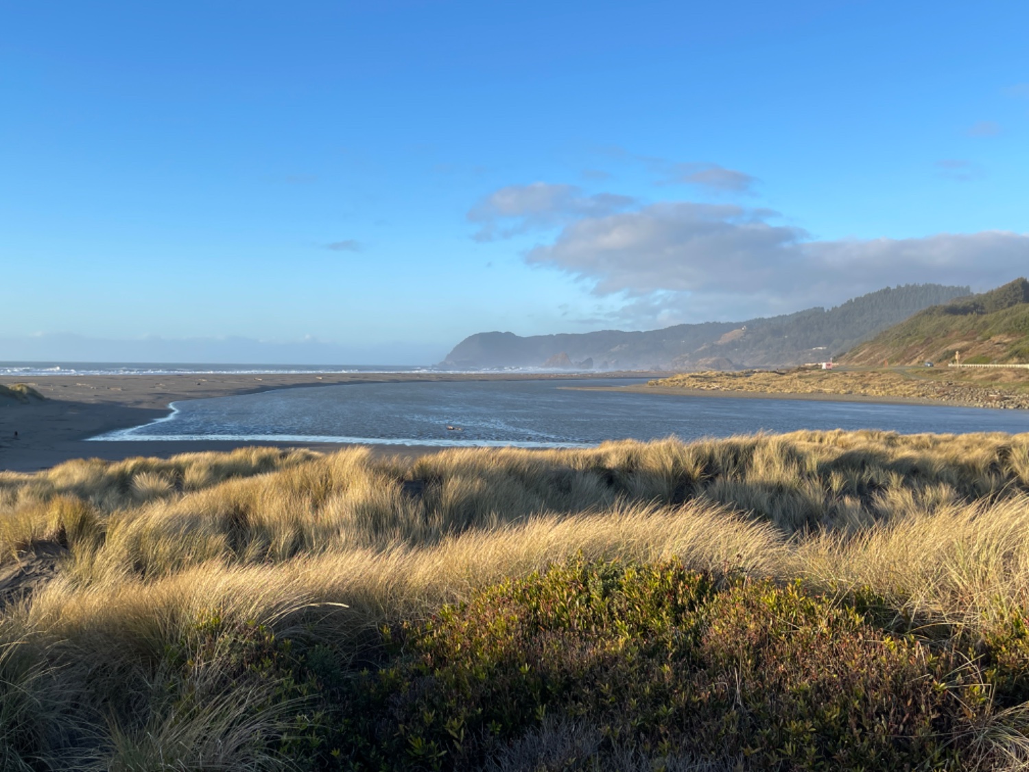 Oregon Coast [OC]