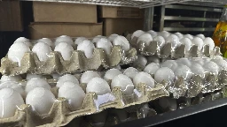 US egg prices hit a record high of $4.95 and are likely to keep climbing