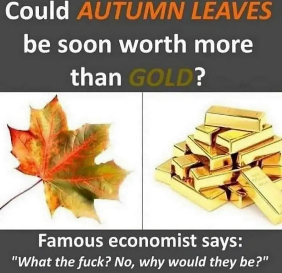 A meme saying &quot;Could Autumn leaves soon be worth more than gold?&quot; at the top, followed by pictures of leaves and a gold bar. At the bottom is a caption saying &quot;A famous economist says &#39;what the ****? No, why would they be?&#39;&quot;