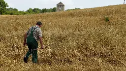 Wenn das Landleben auf der Seele lastet