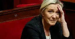 Marine Le Pen hit by shock probe into 2022 presidential campaign funding