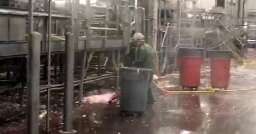 Tennessee firm employed minors to clean meat saws, head splitters at slaughterhouses