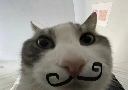 Ickabod Kobain