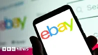 Executives at eBay sent live spiders and cockroaches to critical bloggers