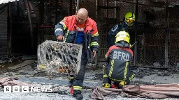 Thailand: Chatuchak market fire kills 1,000 animals