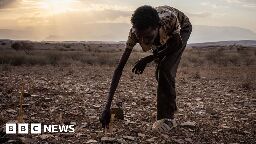 UN food chief: Poorest areas have zero harvests left
