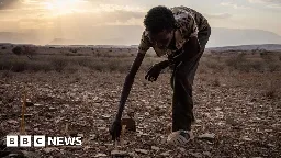 UN food chief: Poorest areas have zero harvests left