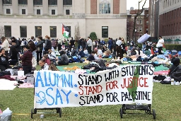 Art Takes Center Stage at Growing Student Protests for Palestine