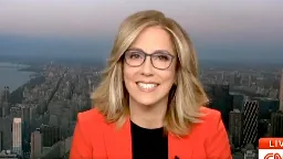 CNN Anchor Alisyn Camerota Speaks Out About Shock Decision to Quit Network