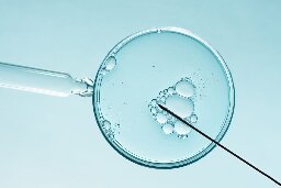 Most Americans Approve Of IVF, But Divided Over Embryo Destruction