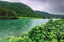 Autumn in Salalah